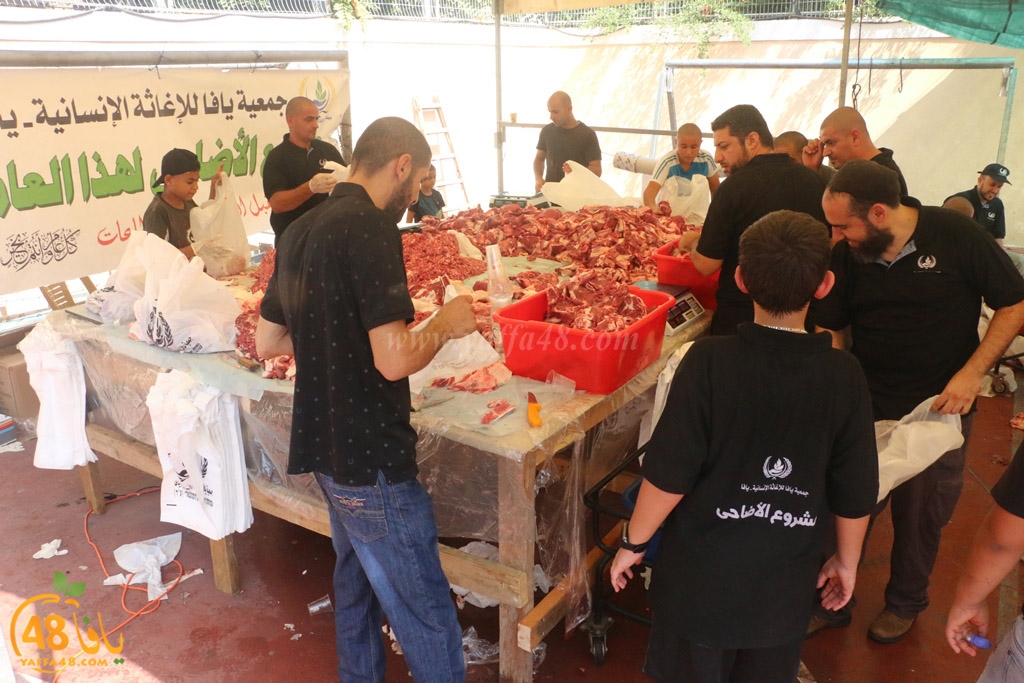 ada7y forthei (10).JPG